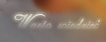 Warto wiedzie